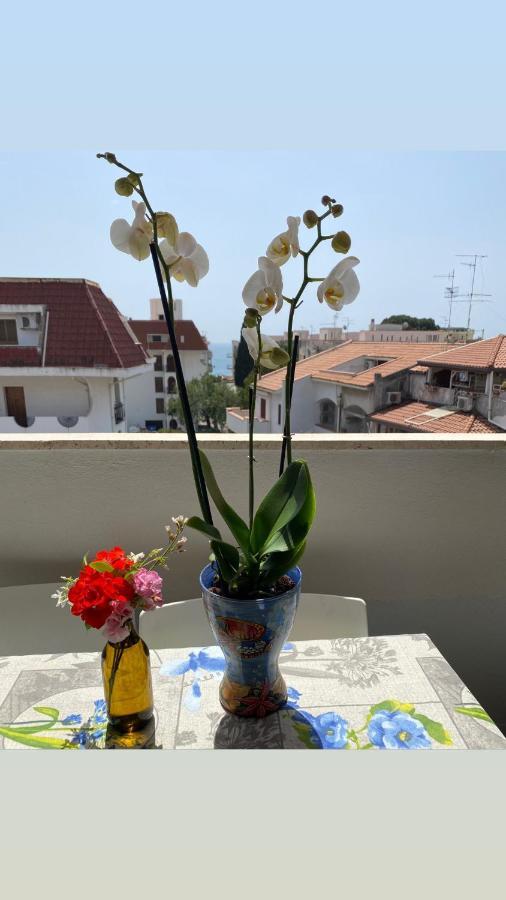 Sea View 2 Bedroom Vacation Apartment จีอาร์ดีนี นักซอส ภายนอก รูปภาพ
